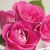 أمل Amal (@amal27097046) Twitter profile photo أمل Amal (@amal27097046) Twitter profile photo
