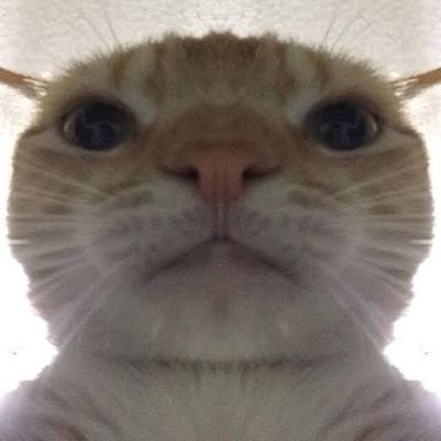 Cheat92916574's profile picture. 