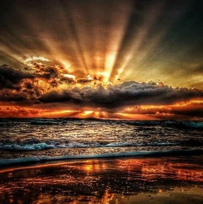 Mariana55299597's profile picture. Asintomatica