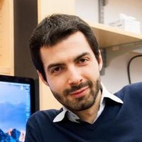 Alessandro De Simone (@aledesi) 's Twitter Profile Photo Alessandro De Simone (@aledesi) 's Twitter Profile Photo
