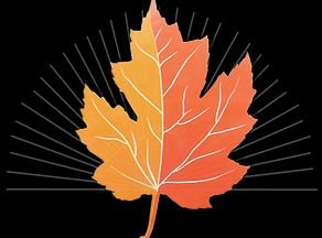 BSiteworks's profile picture. Your Hill Country Project Specialist

Hardscapes
Rock walls
Stone work
Planters
Drainage 
Retaining walls
Landscape rocks
Material Hauling
Site cleanup