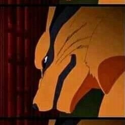 RaposaBraba11's profile picture. 