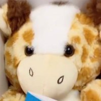idk (@blahbla67) 's Twitter Profile