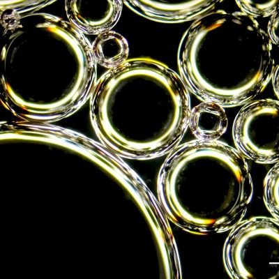 returnMinusOne's profile picture. 