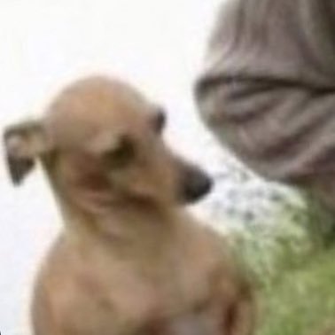 JakeMckeown13's profile picture. 