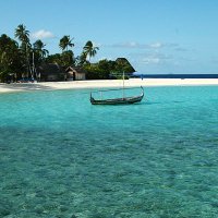 sabal~ (@lisaba45) 's Twitter Profile Photo