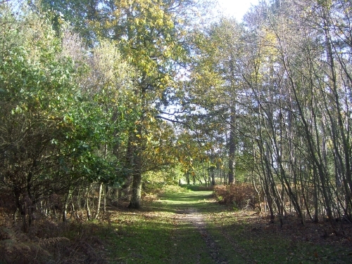 rachiegr's profile picture. Just me.