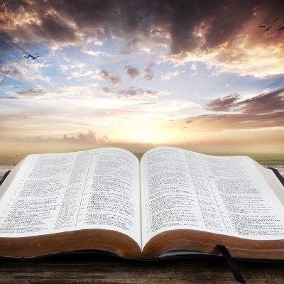 bible_line Profile Picture