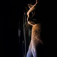 SoRaioN (@soraion_26) 's Twitter Profile Photo