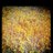 MsHorticulture's profile image