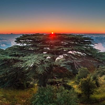 lwfnews's profile picture. Daily weather forecast and live coverage all over Lebanon. Interact with us #LWFnews