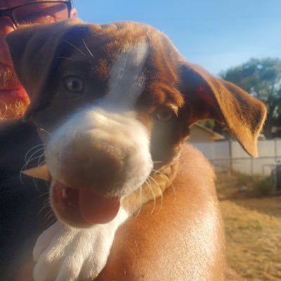 ABGrizzly68's profile picture. Wazzu FB, Cribbage, and whatever