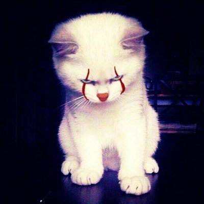 𝐍𝐨𝐢𝐫★.*さんのプロフィール画像
