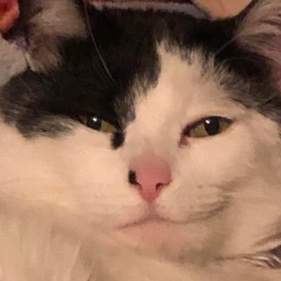 mohpengnarak's profile picture. 