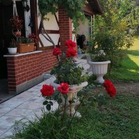 Meryem (@meryyaky) Twitter profile photo