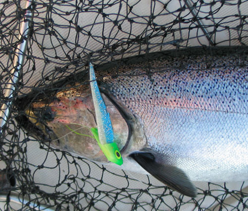 fishludington's profile picture. Michigan's Premier Fishing Tournament - Ludington Offshore Classic draws thousands of anglers each year