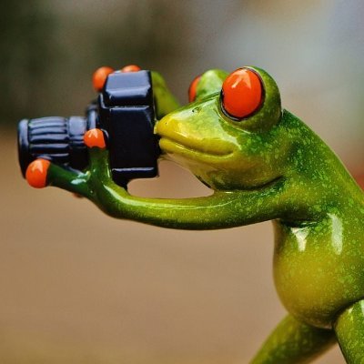 Communi01479399's profile picture. Community manager