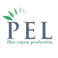 PelFilm(@PelFilmTV) 's Twitter Profile Photo