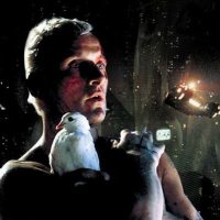 Nexus 6 🏴☠️ (@bladerunner551) 's Twitter Profile