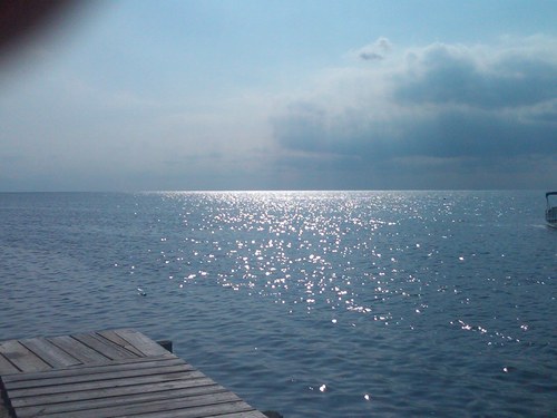 MUPPY2010's profile picture. 