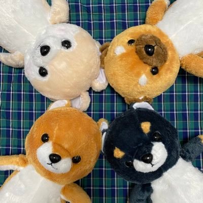 さわ るつさわこ 休日の釣果 左から チカ なんかの稚魚 笑 ガヤ エゾメバル 名前分からん魚 チカ釣りが目的だったから小ぶりな魚ちゃんたちでした 唐揚げ 天ぷら 煮付でソッコー無くなった かーらーの秋鮭