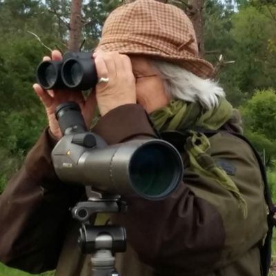 Mee met een privé wildspeurtocht over de Veluwe? Check website! Speuren naar het wild, speuren naar dieren en sporen. Contact via DM graag!
