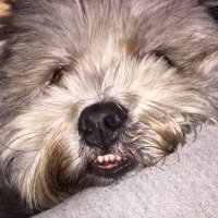 GeorgeeW (@georgeew_1) 's Twitter Profile