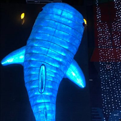 1208pooh's profile picture. 