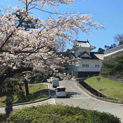 WpQt5qz8jttJqVt's profile picture. 未来だけをみてます
