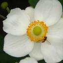 AMY GELFAND - @MRSGELFAND - Twitter