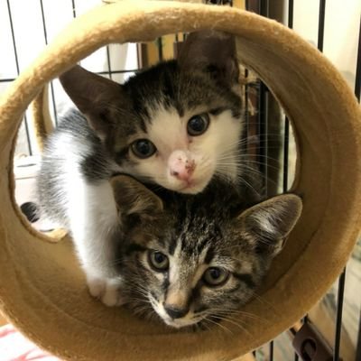 ks613614's profile picture. 