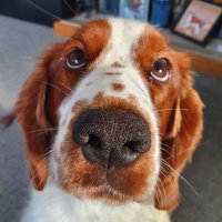 Richard Carpenter (@rjcarpenter123) 's Twitter Profile Photo Richard Carpenter (@rjcarpenter123) 's Twitter Profile Photo