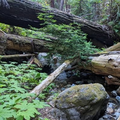 Logging trades to improve decisions, nfa.
Holding winning trades with conviction, not just losers.
I value healthy ecosystems and relationships