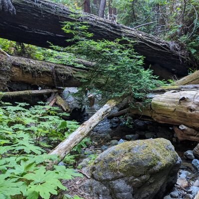 relationship coach, contrarian, dad, husband, child of aging parent, explorer, builder of backyard habitat.

logging to improve decisions, bull mkt was easier