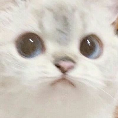 green00water's profile picture. 🔞