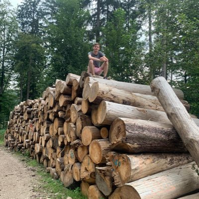 sytsehartvelt's profile picture. Just a twitter lurker