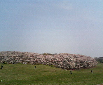 masafunrun's profile picture. 神戸出身、横浜在住の会社員です。休みの日はランニングしてます！
走った後のビールがうまい！！！