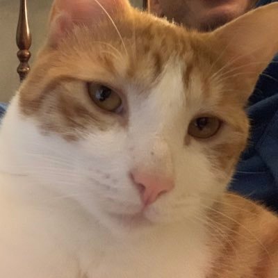 john_issel's profile picture. love playing games plus Minecraft