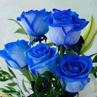 Nishan22173624's profile picture. I am an INDIAN, proud to be an INDIAN