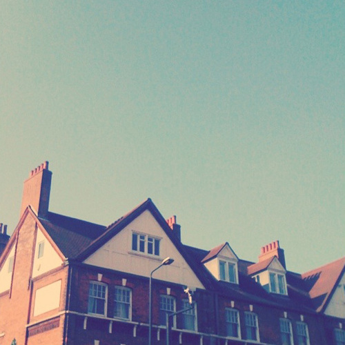 dailyscrib's profile picture. Love to travel, watch films and find beauty in everyday life.