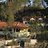 Casadorio's profile image