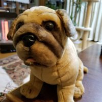 たも (@78dcmj4hfdjmdd3) Twitter profile photo