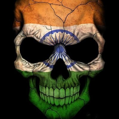 Adolf_D's profile picture. 🇮🇳 Friend of 🇷🇺 🇮🇱, Staunch Nationalist, *NOT* Politically Correct, I don't Sugarcoat & I dont care about your sensitive woke ass feelings !! Jai Hind !