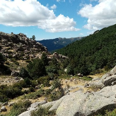 jose_ah67's profile picture. Jose Antonio Un Español. Por la libertad y la justicia.🇪🇦🍻