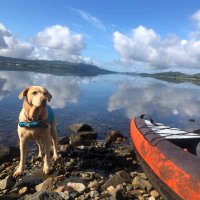 ClaireBond (@mrs_bcps) 's Twitter Profile