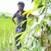 Gangadhar Bejjam Venkata (@bejjamvenkata) Twitter profile photo Gangadhar Bejjam Venkata (@bejjamvenkata) Twitter profile photo