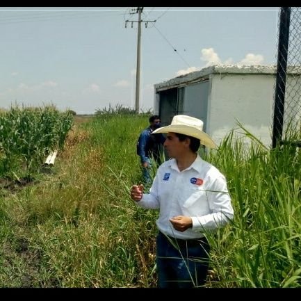 Asesor técnico en riego-
cuidando el Agua de Gto-
Programa Mejores Usos del Agua en el Campo