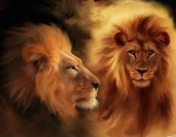 yahhhhhhhhhhooooooooooooooooooooooooooooooooo...love watching movies and movies of all kind............