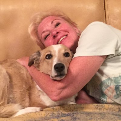 judygrierden's profile picture. 