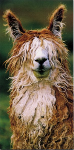 beany01's profile picture. 